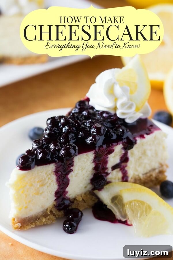 How to Make Cheesecake: Complete Guide for Perfect Results 2 Slice of lemon cheesecake with blueberry sauce.
