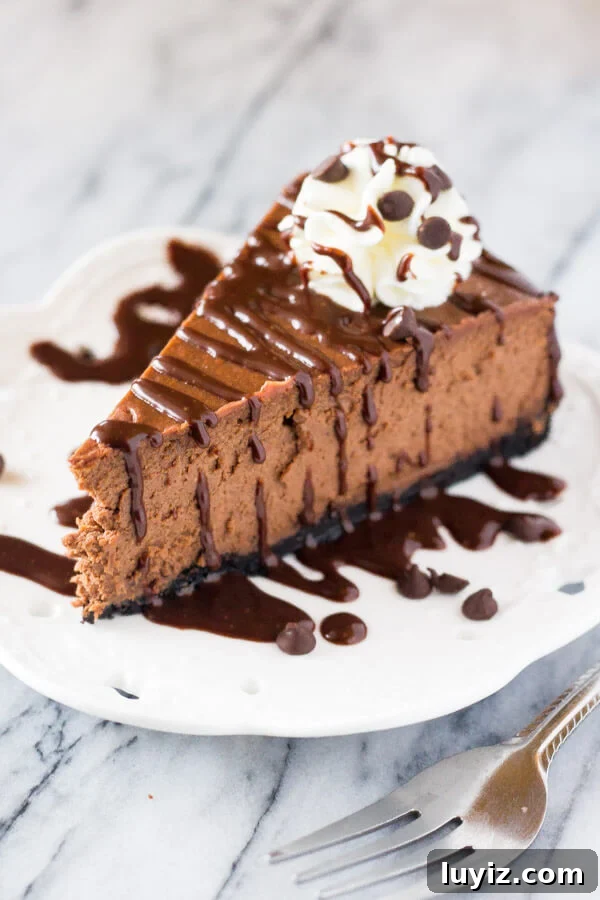 How to Make Cheesecake: Complete Guide for Perfect Results 6 Slice of chocolate cheesecake drizzled with chocolate sauce.