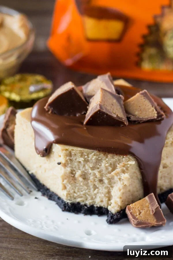 How to Make Cheesecake: Complete Guide for Perfect Results 8 Peanut butter cheesecake squares with chocolate topping and peanut butter cups.