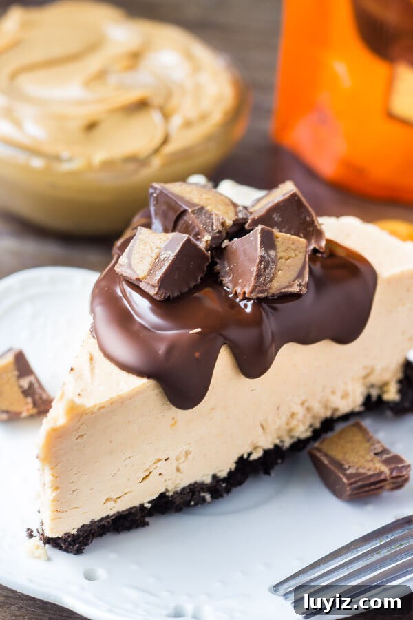 How to Make Cheesecake: Complete Guide for Perfect Results 9 No bake peanut butter cheesecake with Oreo crust.
