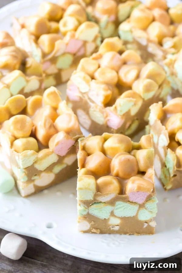 Confetti Peanut Butter Marshmallow Squares Recipe 4 Plate of Confetti Squares (also known as peanut butter marshmallow squares)
