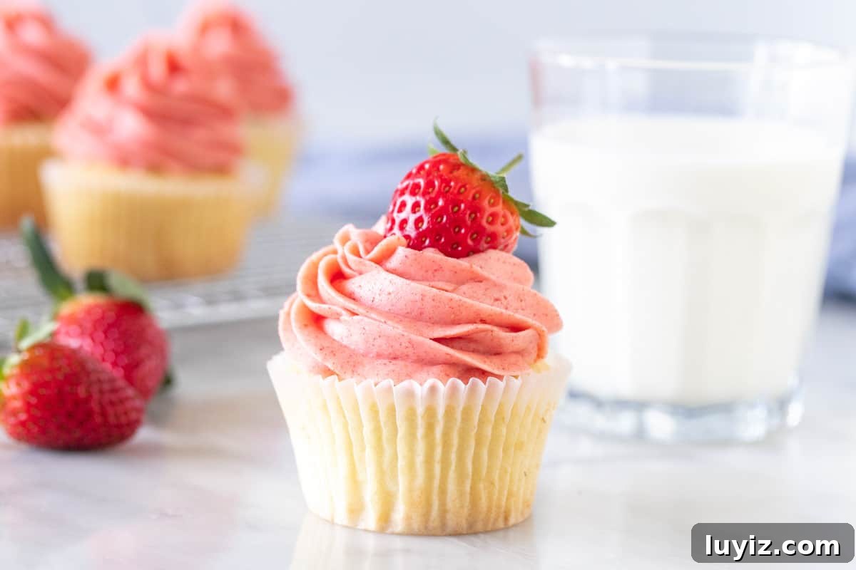 Vanilla Cupcakes with Fresh Strawberry Buttercream Frosting 5 Vanilla cupcake with fresh strawberry frosting and a strawberry on top
