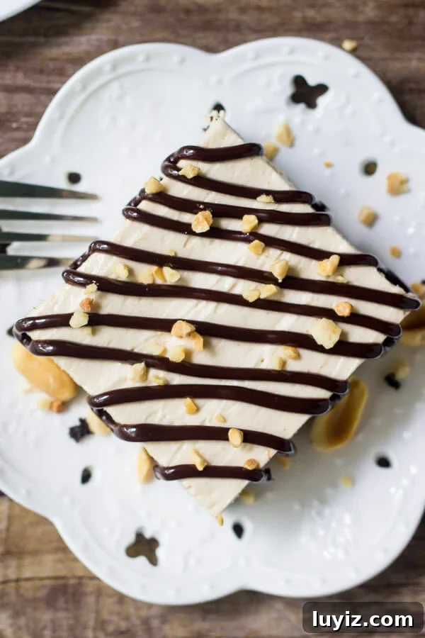 Drumstick Peanut Butter Ice Cream Cake Recipe 3 Overhead shot of peanut butter ice cream drumstick cake on a white plate and drizzled with chocolate sauce and chopped peanuts.