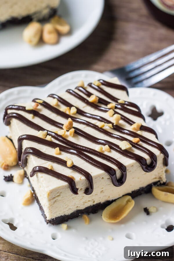 Drumstick Peanut Butter Ice Cream Cake Recipe 5 Drumstick cake is an easy, homemade, no bake peanut butter ice cream cake with all the flavor of drumstick ice cream cones. With an Oreo crust, fudge sauce & peanuts - if you love buster bars you definitely need to try this!