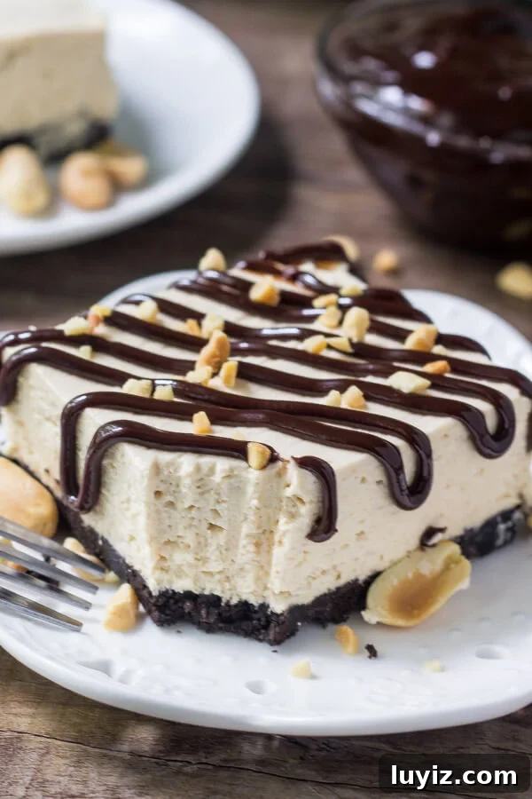Drumstick Peanut Butter Ice Cream Cake Recipe 6 Slice of drumstick cake with a bite taken out of it. Bowl of hot fudge sauce and second slice of cake in the background.