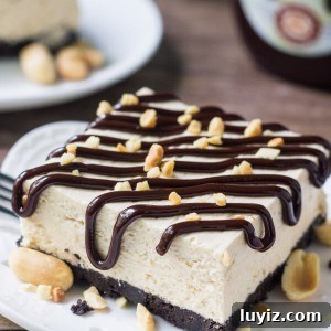 Drumstick Peanut Butter Ice Cream Cake Recipe 7 Slice of peanut butter drumstick cake drizzled with hot fudge and peanuts. Second slice in the background with a bottle of hot fudge sauce
