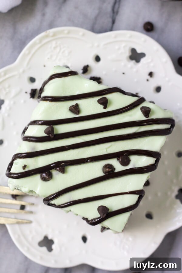 No-Churn Mint Chip Ice Cream Cake Recipe 3 Overhead shot of a square slice of mint chip ice cream cake drizzled with chocolate sauce on a white plate