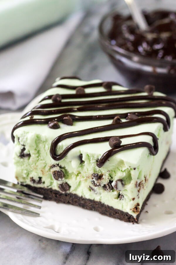 No-Churn Mint Chip Ice Cream Cake Recipe 4 Slice of homemade mint chip ice cream cake on a white plate drizzled with chocolate sauce. Bowl of chocolate sauce in the background.