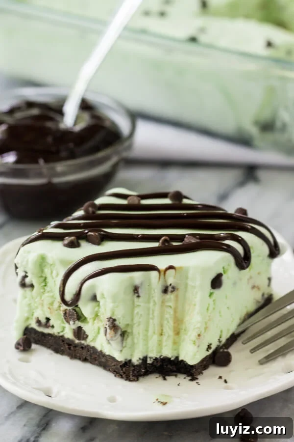 No-Churn Mint Chip Ice Cream Cake Recipe 6 Slice of mint chip ice cream cake with a bite taken out of it. Fork resting on the side of the plate. Bowl of fudge sauce and pan of ice cream cake in the background.