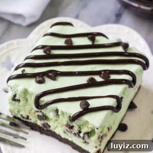 No-Churn Mint Chip Ice Cream Cake Recipe 5 Overhead side angle shot of a slice of mint chip ice cream cake drizzled with fudge sauce. White napkin in the background