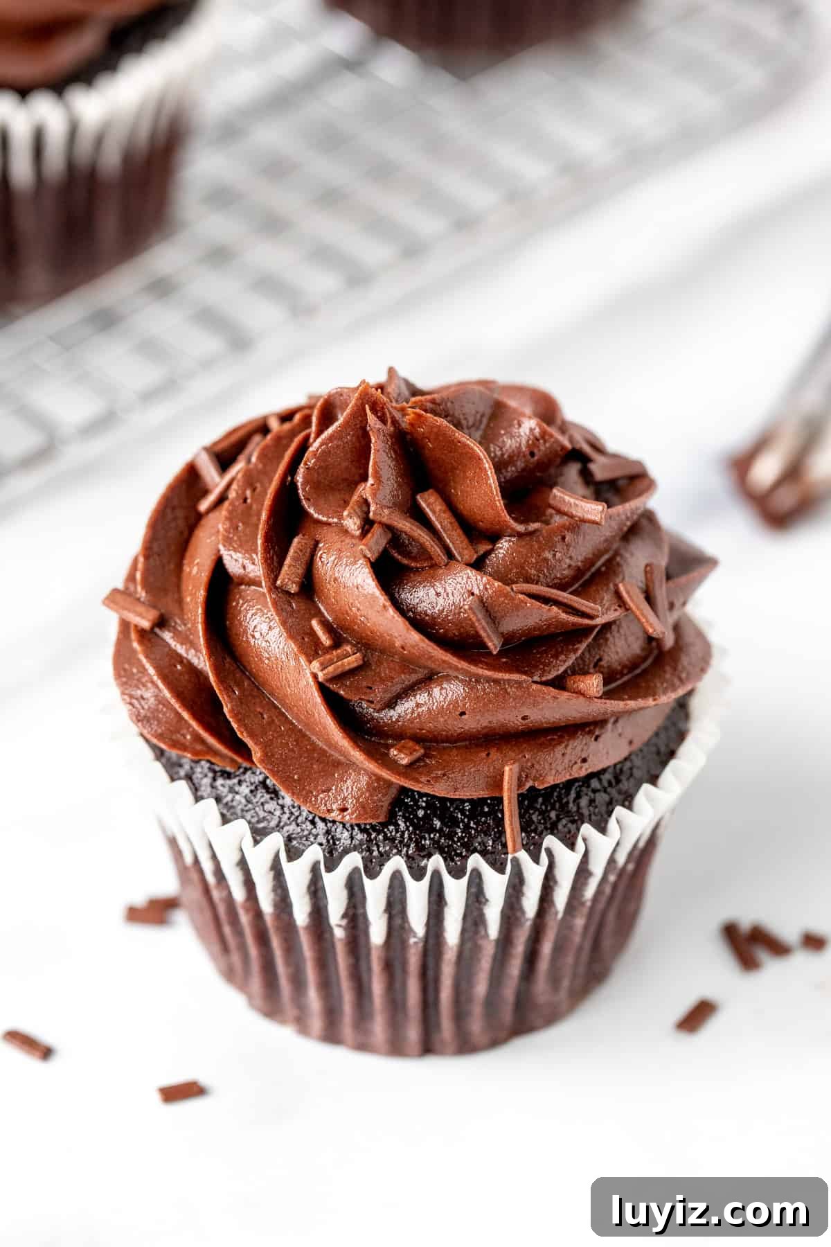 Perfect Chocolate Buttercream Frosting Recipe for Cakes 5 Chocolate cupcake decorated with chocolate buttercream frosting