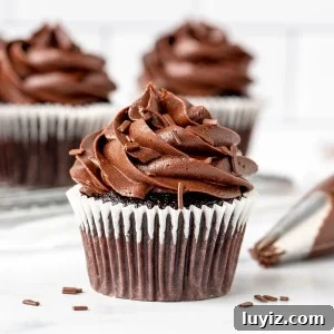 Chocolate cupcake piped with chocolate frosting