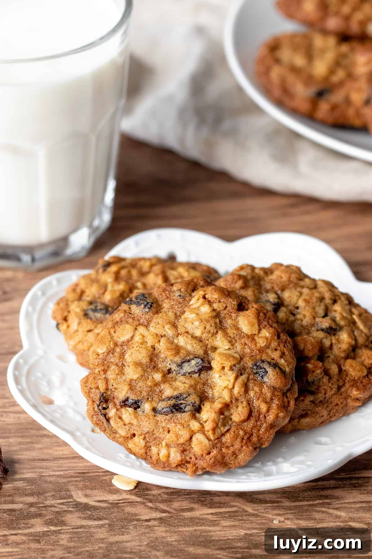 Chewy Oatmeal Raisin Cookie Recipe That Bakes Perfectly Every Time 3 Small plate of 3 oatmeal raisin cookies