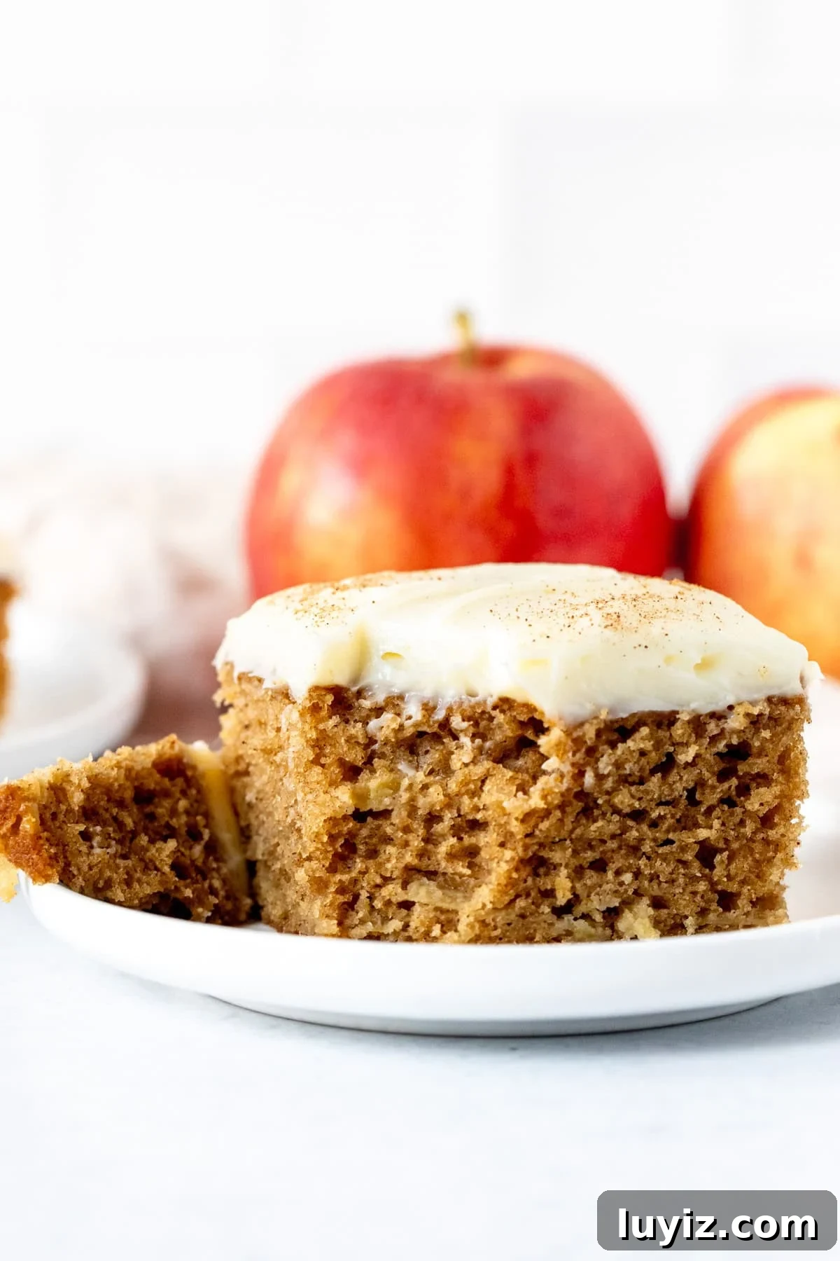 Apple Spice Cake with Cream Cheese Frosting Recipe 11 Moist apple cake with a bite taken out