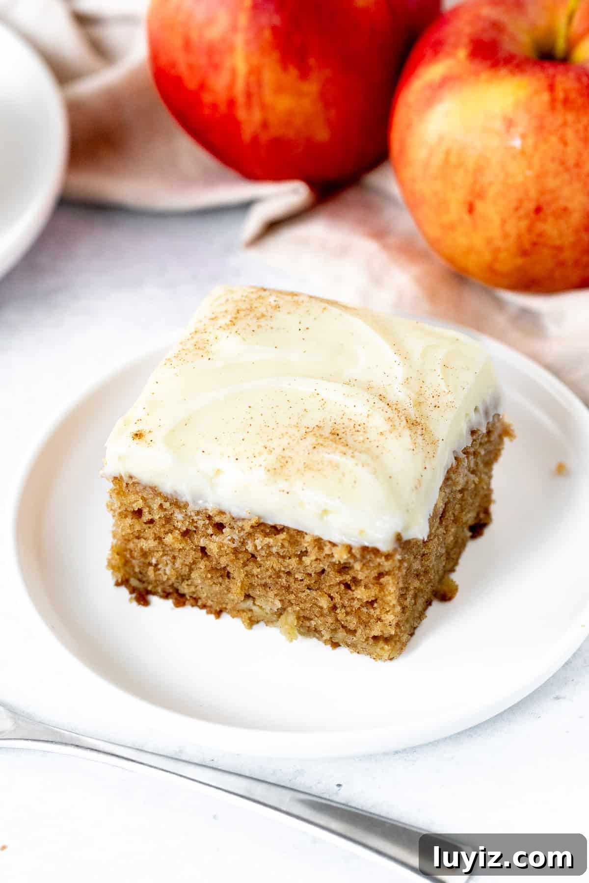 Apple Spice Cake with Cream Cheese Frosting Recipe 4 Slice of moist apple cake with cream cheese frosting and a sprinkle of cinnamon on top