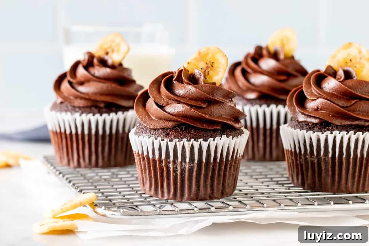 Double Chocolate Banana Cupcakes Recipe — Moist Chocolate Banana Treats 4 Double chocolate banana cupcakes with chocolate buttercream and a banana chip on top