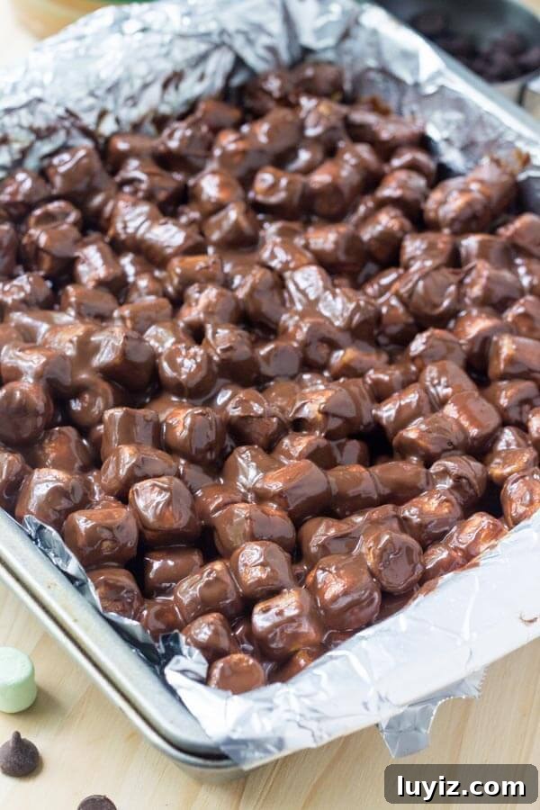 Chocolate Confetti Squares Recipe for Party Dessert Bars 4 Square pan of chocolate confetti squares, before the bars have hardened in the fridge.