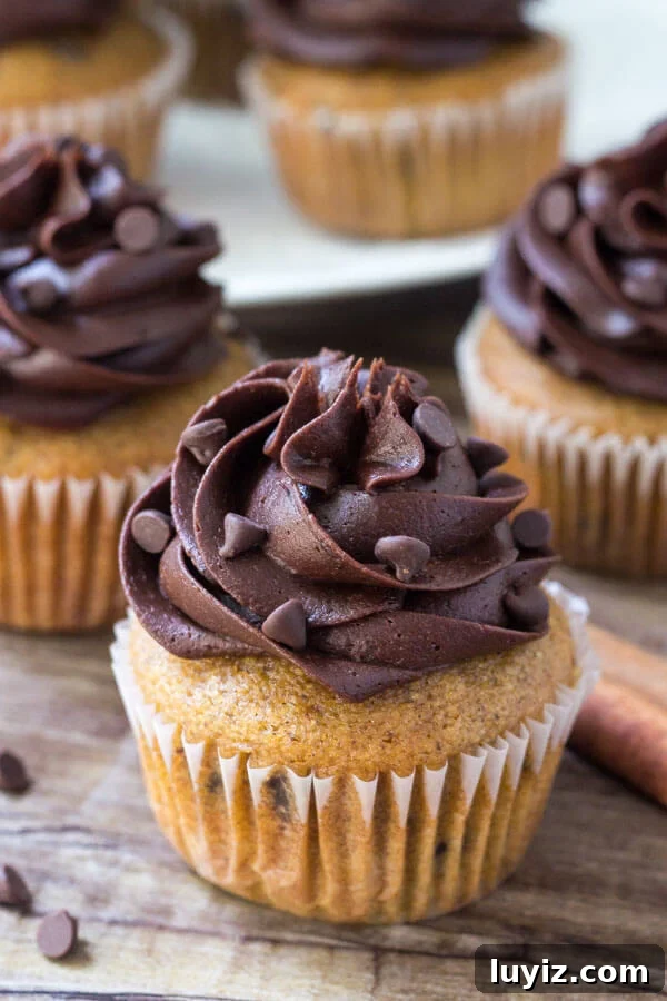 Pumpkin Chocolate Chip Cupcakes Recipe for Moist Fall Treats 2 Three pumpkin chocolate chip cupcakes with a plate of pumpkin cupcakes in the background.