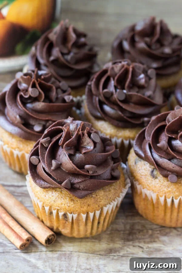 Pumpkin Chocolate Chip Cupcakes Recipe for Moist Fall Treats 3 Overhead shot of a group of pumpkin chocolate chip cupcakes topped with chocolate frosting and mini chocolate chips. Jar of pumpkin puree in the background.