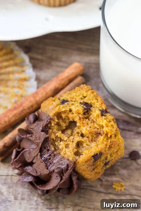Pumpkin Chocolate Chip Cupcakes Recipe for Moist Fall Treats 6 Pumpkin chocolate chip cupcake with a bite taken out of it laying on it's side.