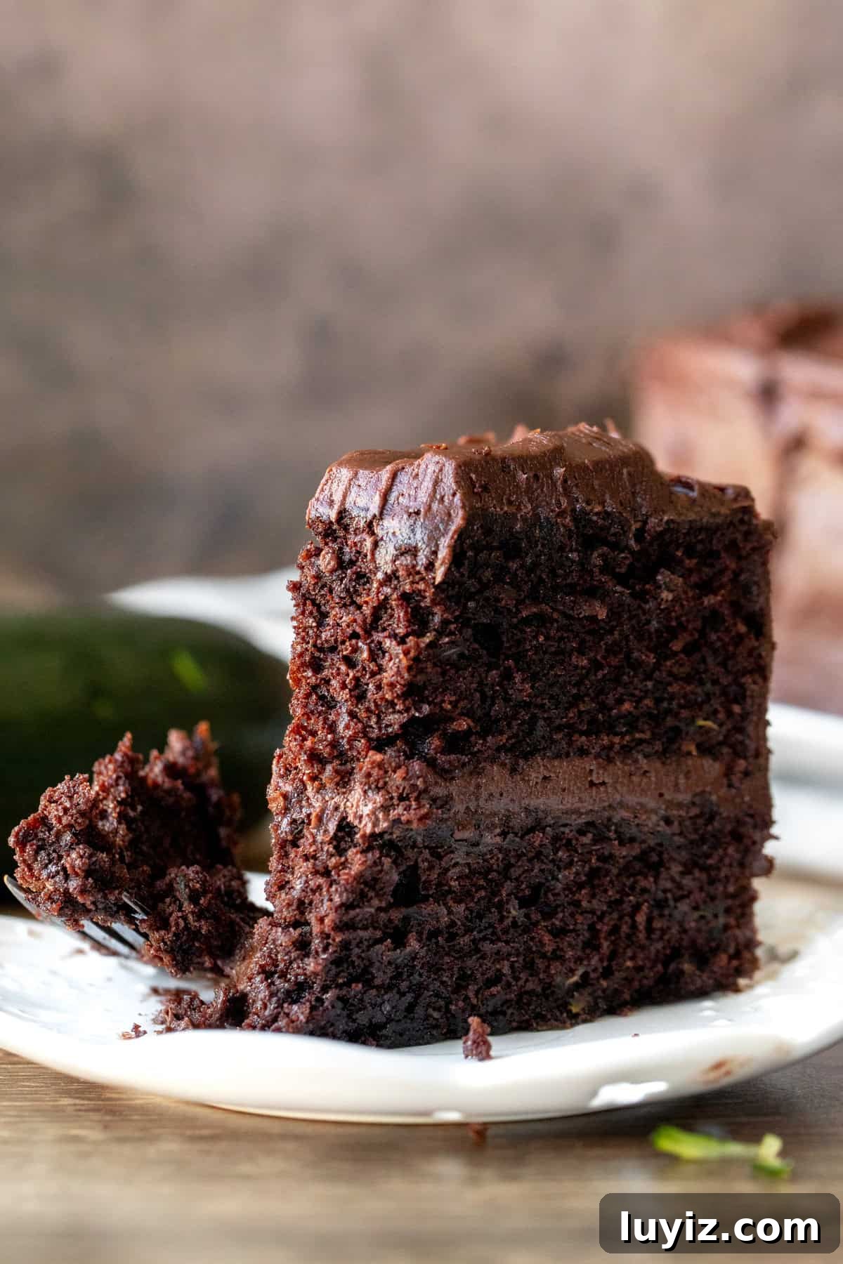 Moist Chocolate Zucchini Cake Recipe with Cocoa and Olive Oil 6 Slice of 2 layer chocolate zucchini cake with chocolate frosting