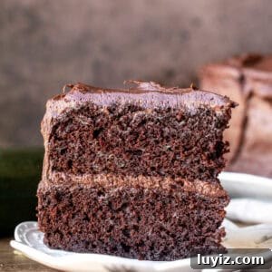 Moist Chocolate Zucchini Cake Recipe with Cocoa and Olive Oil 7 Slice of chocolate zucchini cake with creamy chocolate frosting