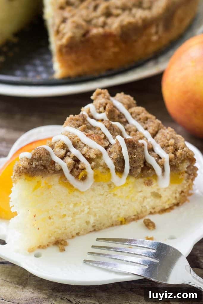 Peach Coffee Cake with Crunchy Streusel Topping 3 Sliced peaches and cinnamon streusel topping on cake