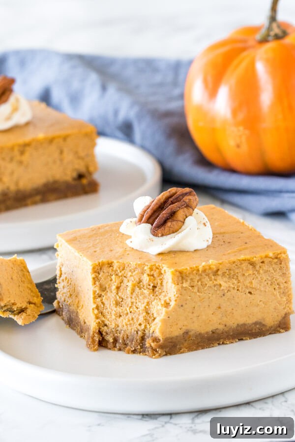 Pumpkin Cheesecake Bars Recipe — Creamy Fall Dessert Bars 4 A slice of extra creamy pumpkin spice cheesecake with a bite taken out of it to show the texture.