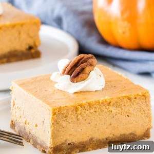 A slice of creamy pumpkin cheesecake bars taken from the side to show the creamy, smooth texture.