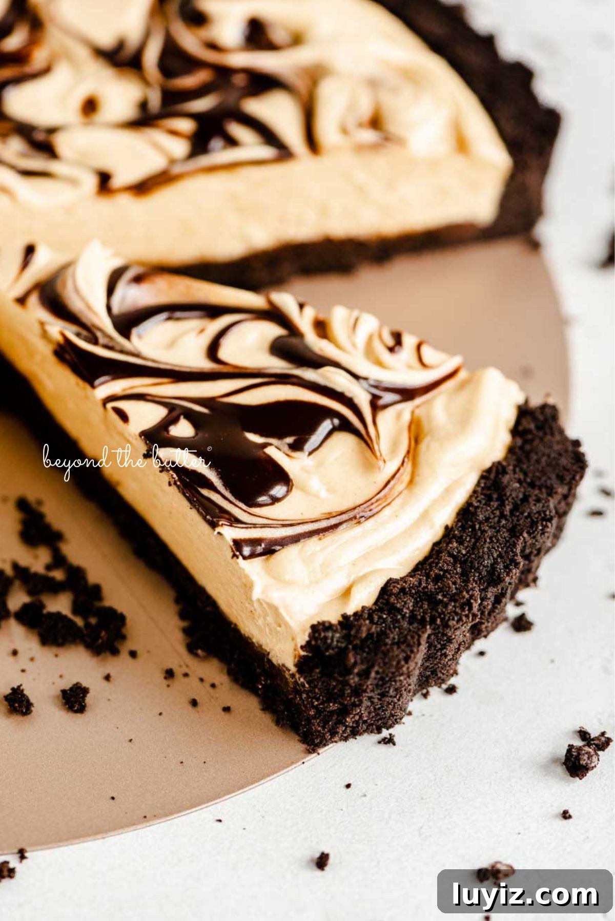 Chocolate Peanut Butter Swirl Tart Recipe — Decadent No-Bake Dessert 9 Sliced chocolate peanut butter tart swirled with chocolate syrup surrounded by a few chocolate sandwich cookie crumbs on a white speckled background.