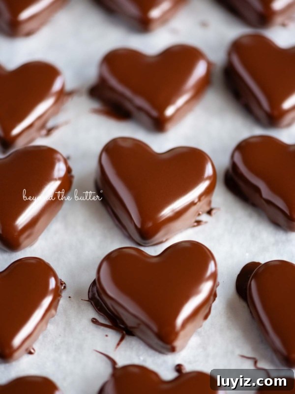 Chocolate Peanut Butter Swirl Tart Recipe — Decadent No-Bake Dessert 12 Rows of just dipped chocolate covered peanut butter hearts on a wax paper lined baking sheets.