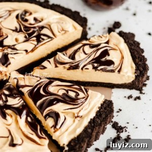 Chocolate Peanut Butter Swirl Tart Recipe — Decadent No-Bake Dessert 14 Round chocolate peanut butter tart swirled with chocolate syrup and cut into slices with a bowl of chocolate syrup next to it surround by a few chocolate sandwich cookie crumbs on a white speckled background.