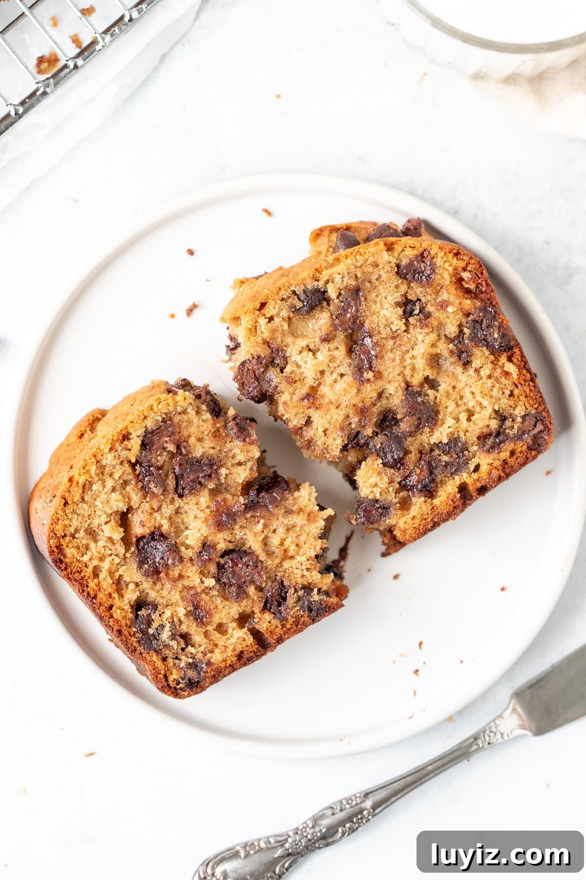 Moist Peanut Butter Banana Bread Recipe with Chocolate Swirl 7 Slice of peanut butter chocolate chip banana bread broken in half on a plate