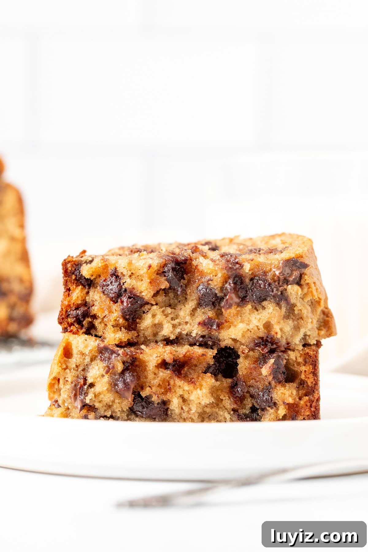 Moist Peanut Butter Banana Bread Recipe with Chocolate Swirl 8 Slice of peanut butter banana bread, broken in half
