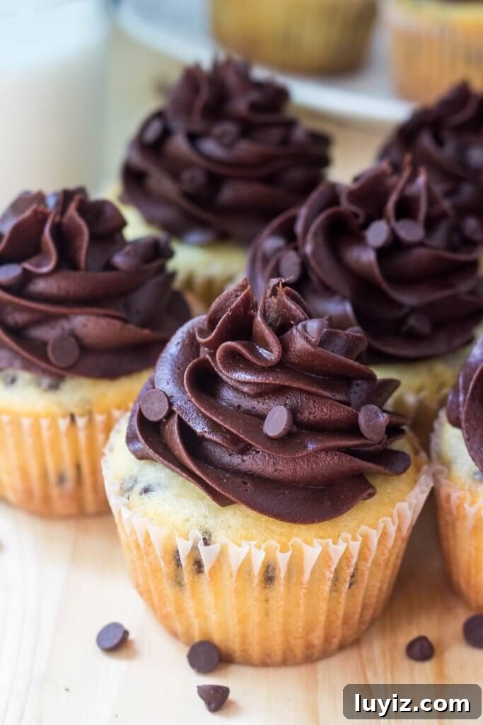 Decadent Chocolate Chip Cupcakes with Rich Chocolate Frosting 3 Fluffy, moist vanilla cupcakes filled with mini chocolate chips, then topped with creamy chocolate buttercream. These chocolate chip cupcakes with chocolate frosting are the perfect combo of vanilla & chocolate!