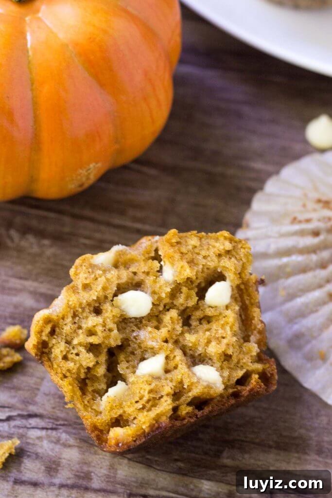 Pumpkin White Chocolate Chip Muffins Recipe for Fall Baking 3 These pumpkin white chocolate chip muffins are fluffy, moist and filled with white chocolate chips. The pumpkin flavor & spices go deliciously with sweet white chocolate for a combo that's completely delicious.
