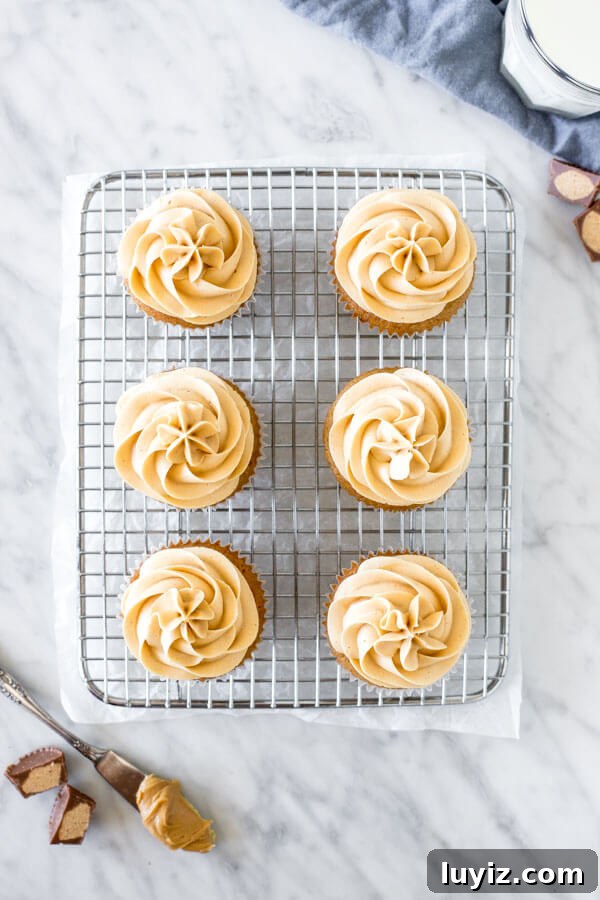 Decadent Peanut Butter Cupcake Recipe with Chocolate Swirl 3 6 cupcakes piped with frosting on a cooling rack, from above.