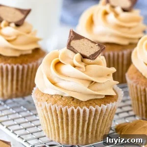Decadent Peanut Butter Cupcake Recipe with Chocolate Swirl 5 Peanut butter cupcakes on a cooling rack topped with a peanut butter cup.