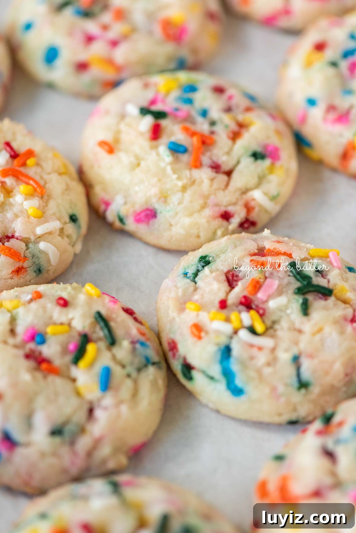 Funfetti Butter Cookies Recipe with Sprinkle-Filled Shortbread 2 Funfetti butter cookies lined up close together in rows on white parchment paper.