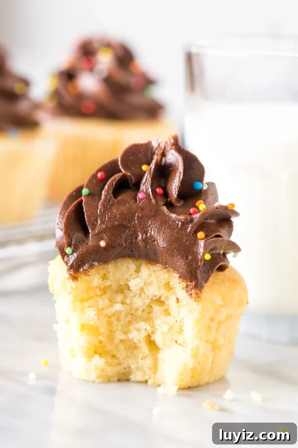 Moist Yellow Cupcakes Topped with Rich Chocolate Frosting 4 Frosted yellow cupcake with a bite taken out of it.