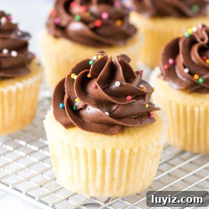 Moist Yellow Cupcakes Topped with Rich Chocolate Frosting 5 Yellow cupcakes on a cooling rack