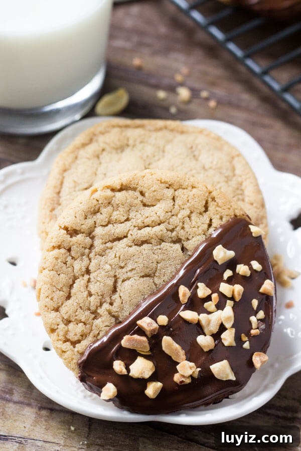 Chocolate-Dipped Peanut Butter Cookies with Crispy Chocolate Coating 2 Soft and chewy chocolate dipped peanut butter cookies. Your favorite peanut butter recipe just got even better!