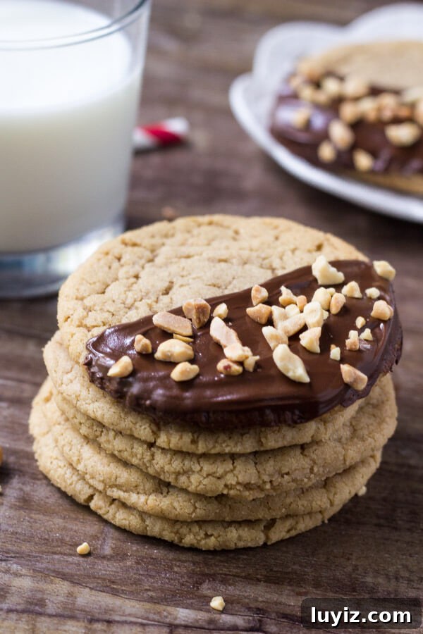 Chocolate-Dipped Peanut Butter Cookies with Crispy Chocolate Coating 3 Soft and chewy chocolate dipped peanut butter cookies. Your favorite peanut butter recipe just got even better!