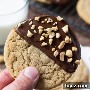 Chocolate-Dipped Peanut Butter Cookies with Crispy Chocolate Coating 6 Soft and chewy chocolate dipped peanut butter cookies. Your favorite peanut butter recipe just got even better!