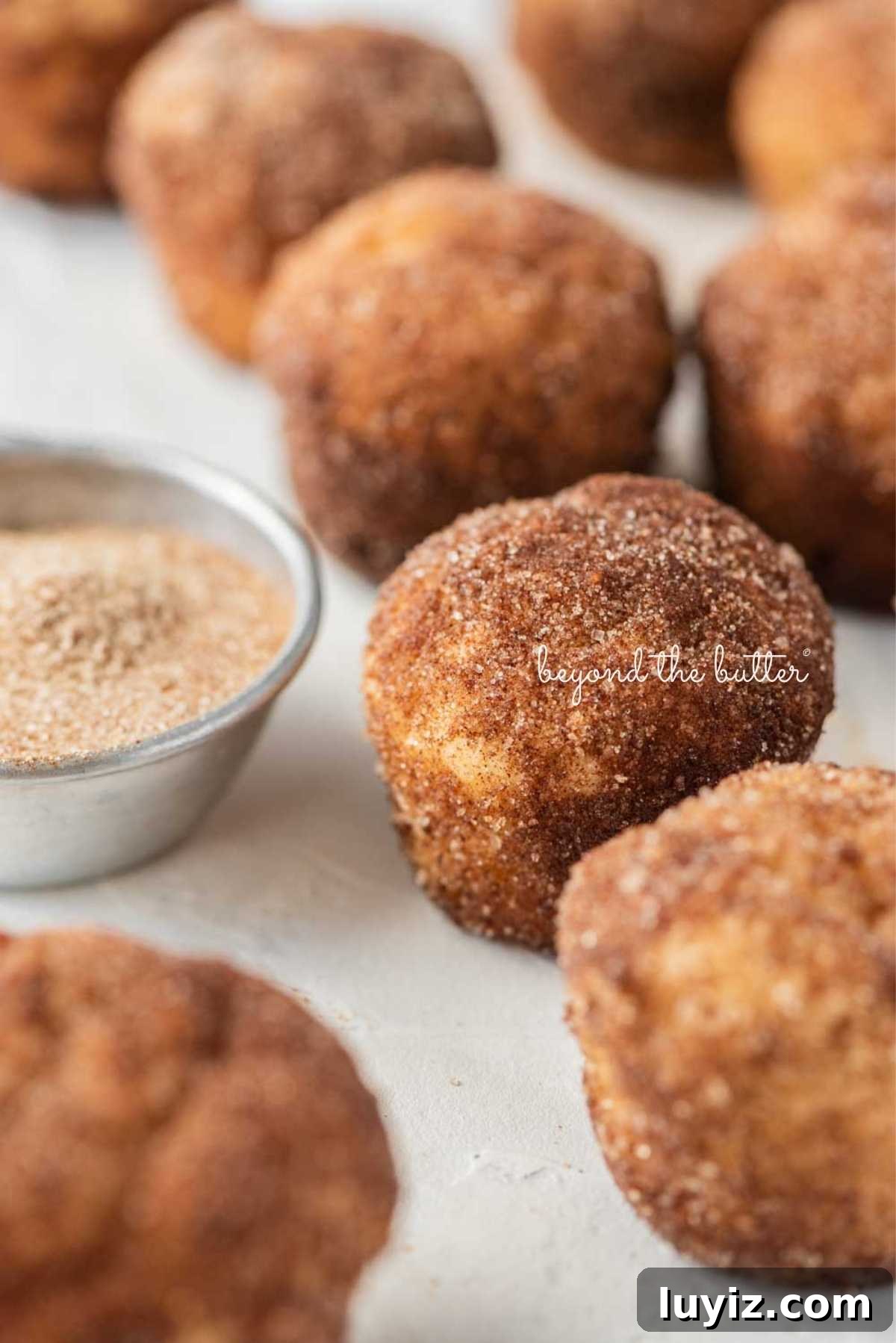 Mini French Breakfast Puffs: Airy, Jam-Filled Pastry Bites 14 French breakfast puffs randomly placed around a bowl of cinnamon sugar on a white textured background.
