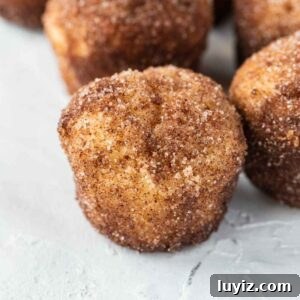 Mini French Breakfast Puffs: Airy, Jam-Filled Pastry Bites 19 Cinnamon sugar breakfast puffs randomly placed on a white textured background.