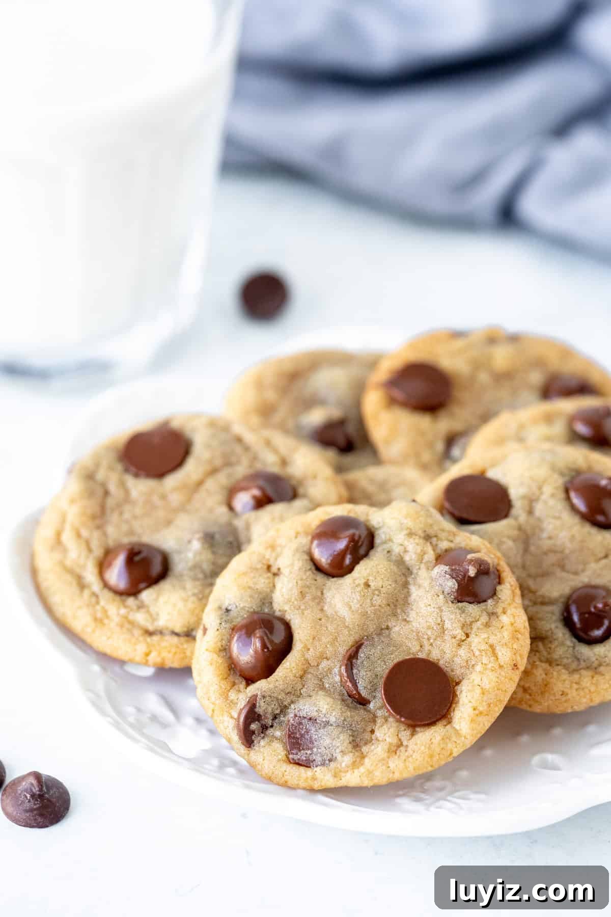 Mini Chocolate Chip Cookie Recipe: Bite-Sized Cookies for Snacking 2 Plate of mini chocolate chip cookies with glass of milk