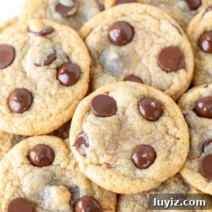 Plate of mini chocolate chip cookies