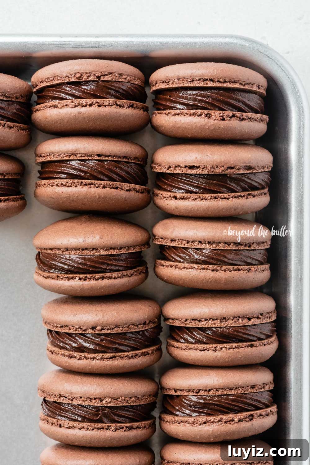 Decadent Dark Chocolate Macarons Recipe for Perfect Crisps 12 Small baking tray lined with dark chocolate macarons | All Images © Beyond the Butter™