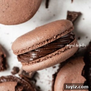 Decadent Dark Chocolate Macarons Recipe for Perfect Crisps 19 Overhead image of scattered dark chocolate macarons with close up and centered on its side.